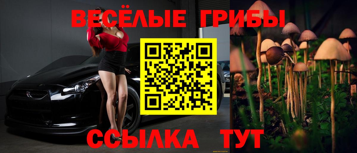 Зеленодольск  купить закладку  Псилоцибиновые грибы Magic Shrooms  Вход с VPN  Галлюциногенные грибы Psilocybe 